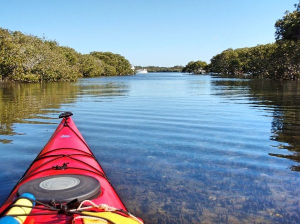 Hawks Nest (NSW) Day paddles – Lower Myall River