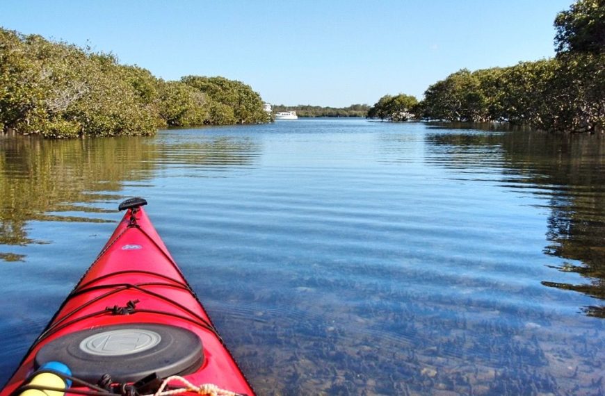 Hawks Nest (NSW) Day paddles – Lower Myall River