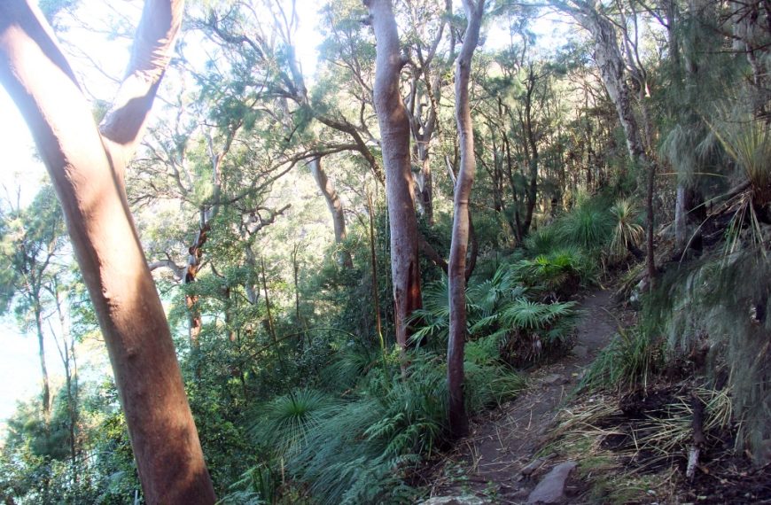 Daywalk at West Head – Resolute Beach