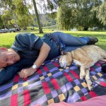 Rest after lunch, Valley Lake Mt Gambier SA