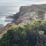 Views from Cape Nelson