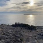 View to Cape Bridgewater from Cape Nelson Sea Cliffs
