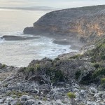 Sea Cliffs Cape Nelson