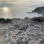 Limestone coast, Sea Cliffs Cape Nelson