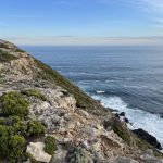 Cap Nelson Sea cliffs