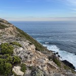 Cap Nelson Sea cliffs
