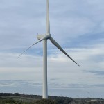 Wind turbine rising from the scrubby forest Cape Nelson