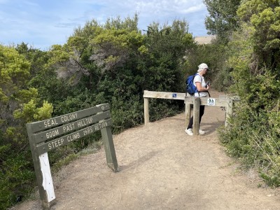 Start of Seal Colony track, Cape Bridgewater