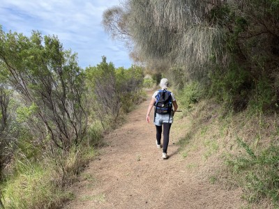 Alomng the coastal track, Cape Bridgewater