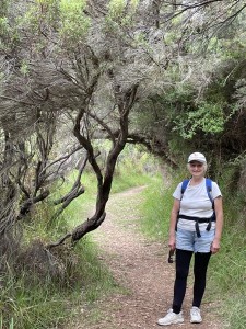 Coastal Track, Cape Bridgewater