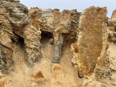 Detail, Petrified Forest, Cape Bridgewater