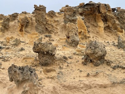 Landscape of the Petrified Forest, Cape Bridgewater