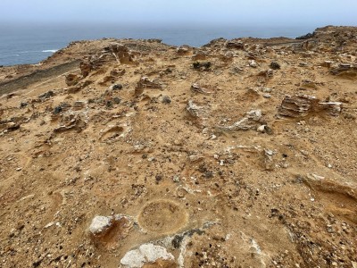 Petrified Forest, Cape Bridgewater