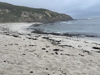 Southern Headland at Whites Beach