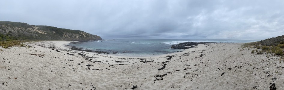 Whites beach panorama - in the rain