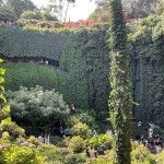 "Sunken Garden" Umpherston Sinkhole, Mt Gambier SA