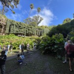 Umpherston Sinkhole, Mt Gambier SA