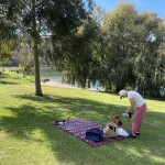Lunch stop at Valley Lake, Mt Gambier SA
