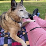 Lunchtime at Valley Lake, Mt Gambier SA