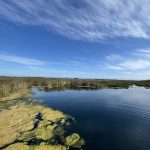 Picannini Ponds