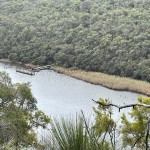 Princess Margret Rose Cave canoe camp on the Glenelg River