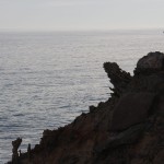 Jagged coastal rocks, Cape Nelson
