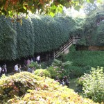 Into Umpherston sinkhole, Mt Gambier SA