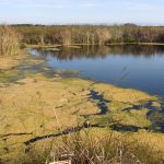 Picannini Ponds, SA