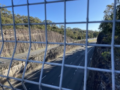 Crossing the Freeway.