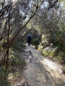 Heading down the track.
