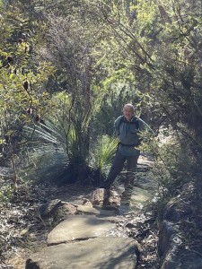 Descending into the creek.