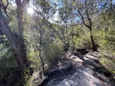 Track descends through bush, creek to the left.