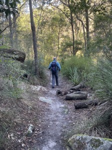 Track widens beside the creek.