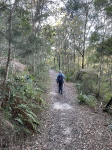 Wide walking track to Jerusalem Bay.