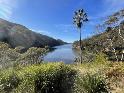 Jerusalem Bay and the lone Palm tree.