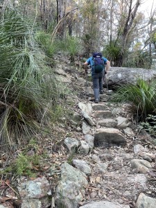 Beginning the ascent.