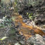 Campbells Creek.