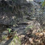 Steps into Campbells creek.