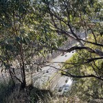 Freeway cutting (north).