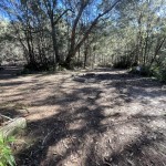 Small campsite near Brooklyn Dam.