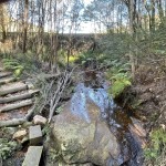 Creek below Brooklyn Dam wall.