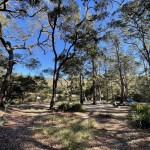 Main Brooklyn Dam camplsite.