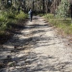 Firetrail from Brooklyn Dam.