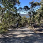 Beginning the descent to Brooklyn.
