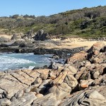 Beach near Grey Rocks.