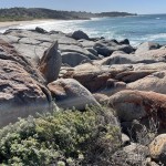 Grey Rocks looking north To Mullimburra Point.