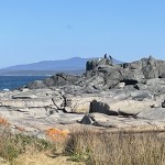 Rocks at Bingi Bingi.